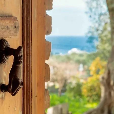 Margaritis's Treehouse Σπίτι διακοπών Παραμόνας