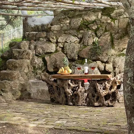 Margaritis's Treehouse Σπίτι διακοπών Παραμόνας