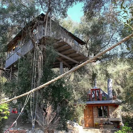 Margaritis's Treehouse Σπίτι διακοπών Παραμόνας