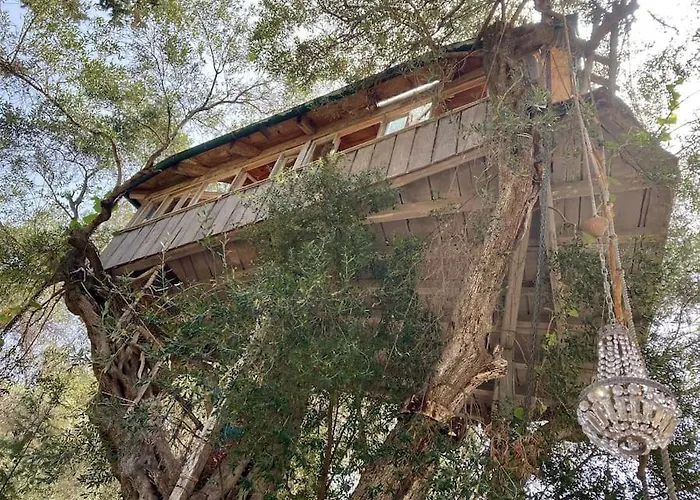 Margaritis's Treehouse