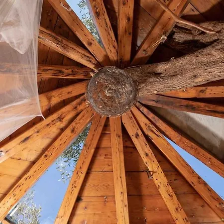 Margaritis's Treehouse Holiday home *