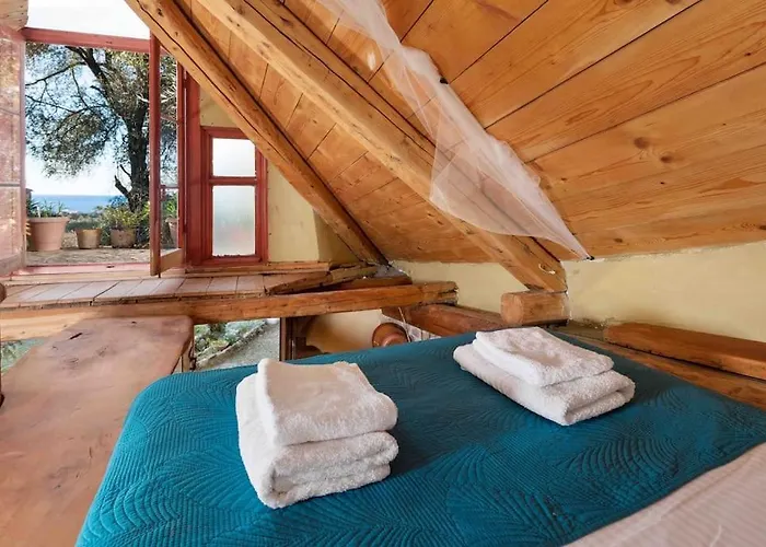 Margaritis's Treehouse