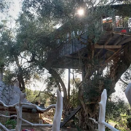 Margaritis's Treehouse *