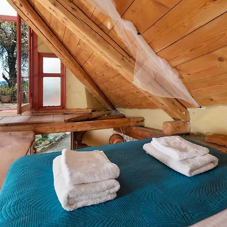 Margaritis's Treehouse