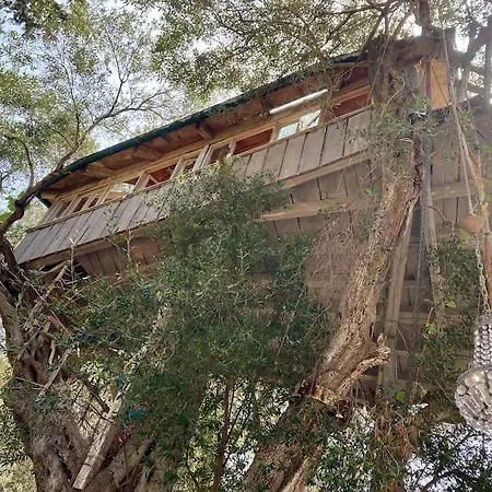 Margaritis's Treehouse