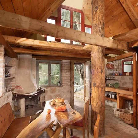 Margaritis's Treehouse