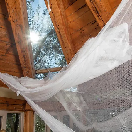 Margaritis's Treehouse *