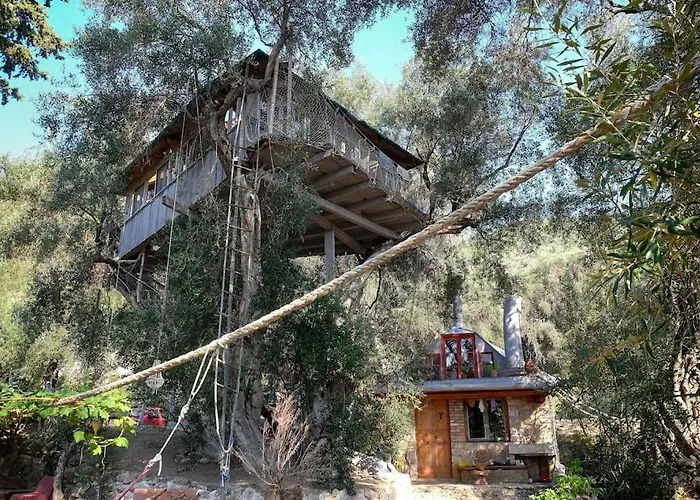 Margaritis's Treehouse 펜션 파라모나스