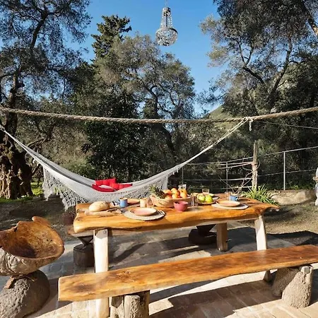 Margaritis's Treehouse * Paramonas (Corfu)