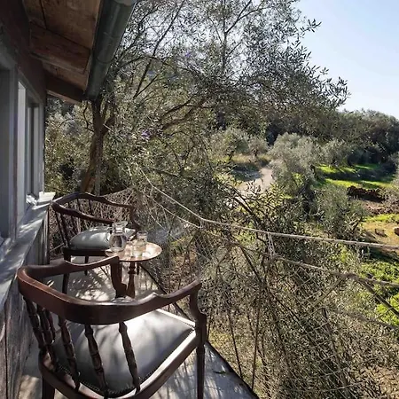 Margaritis's Treehouse Paramonas (Corfu)