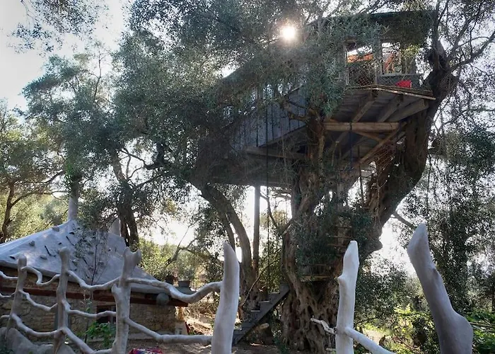 Margaritis's Treehouse *