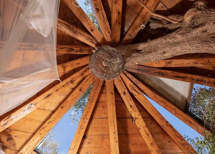 Margaritis's Treehouse Tatil Evi *